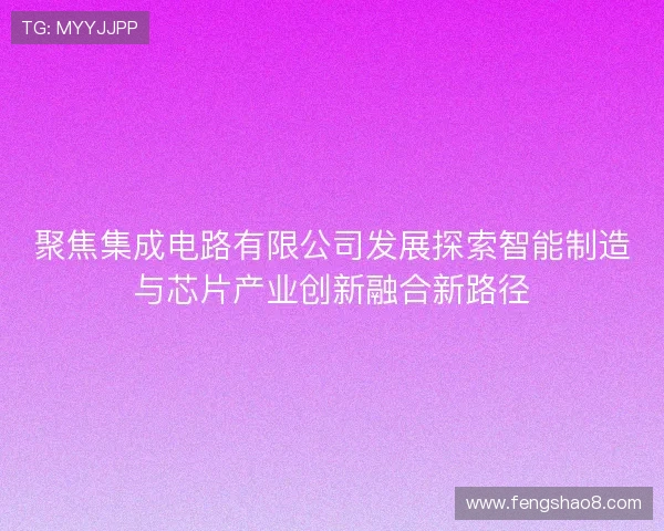 聚焦集成电路有限公司发展探索智能制造与芯片产业创新融合新路径